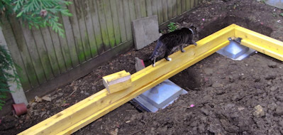 ADJUSTABLE REINFORCED FOUNDATION 2